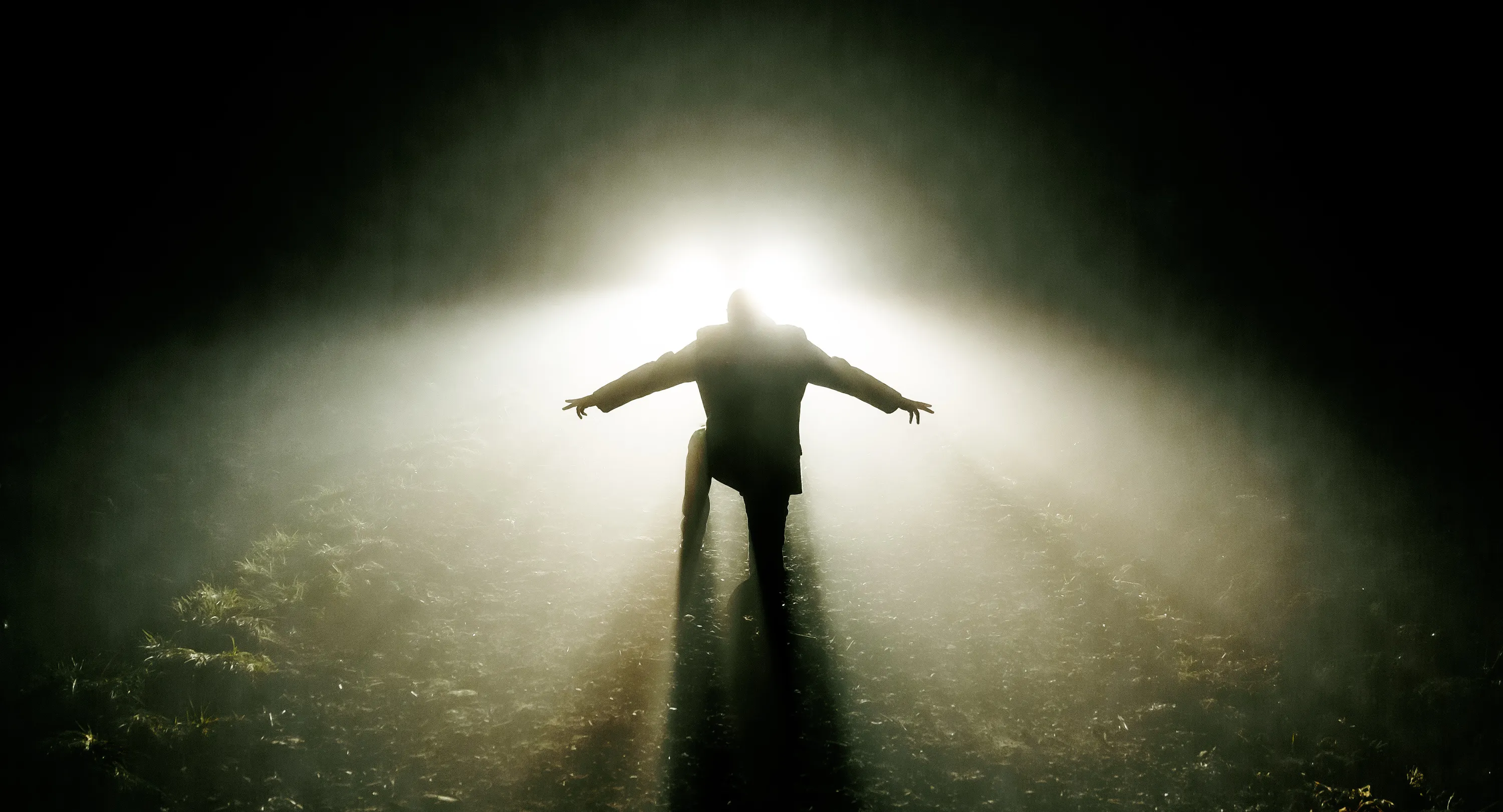 Im Gegenlicht